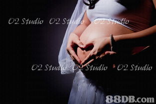 專業攝影攝像服務，以豐富經驗為您定格精彩瞬間